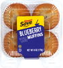 Blueberry Muffin